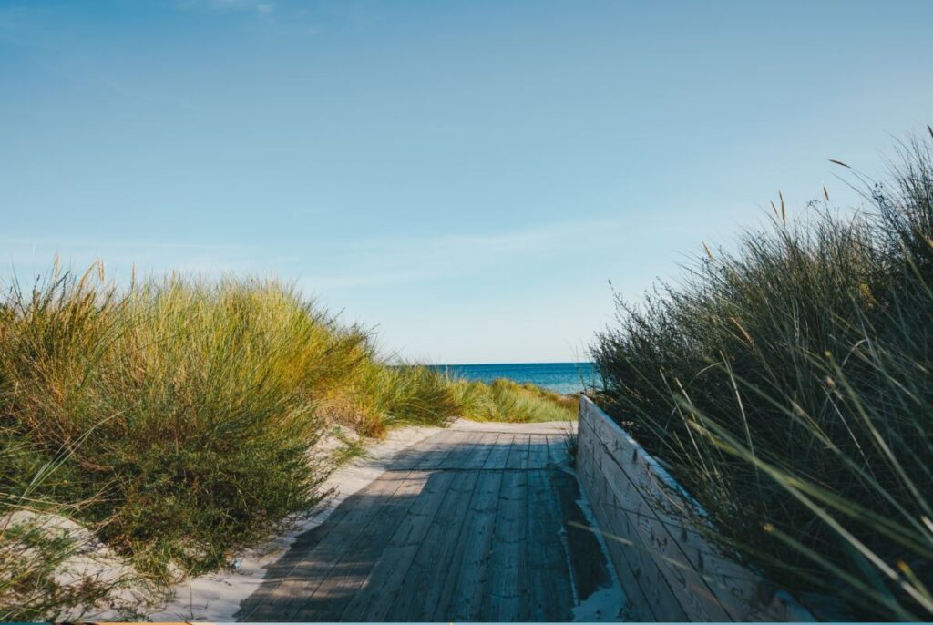 strand